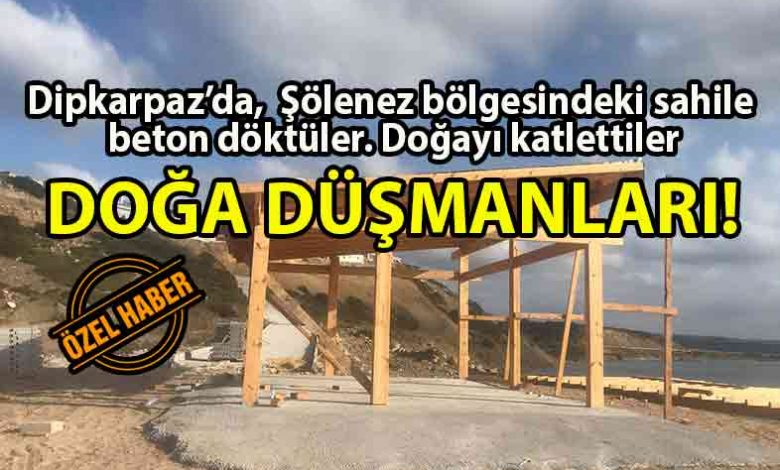 ozgur_gazete_kibris_Dipkarpaz_Şölenez_bölgesinde_sahile_beton_döküldü_üzerine_inşaat_yapıldı