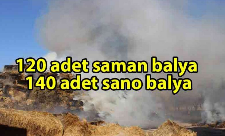 ozgur_gazete_kibris_Serdarlı'da_arazi_yangını
