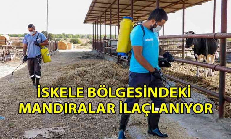 ozgur_gazete_kibris_İskele_Belediyesi_ilaçlama_faaliyetlerini_artırdı