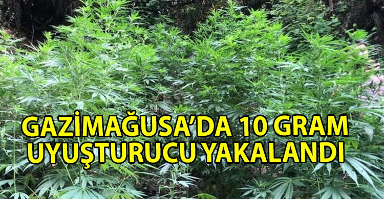ozgur_gazete_kibris_gazimagusa_da_10_gram_uyusturucu_yakalandi