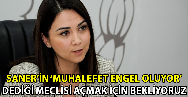 ozgur_gazete_kibris_aysegul_baybars_meclis