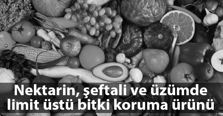 ozgur_gazete_kibris_tarim_dairesi_gida_denetim