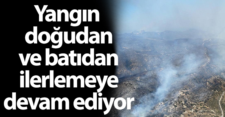 ozgur_gazete_kibris_mersinlik_yangin_agillari_sardi_ramadan_gurpinar