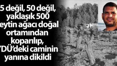  fotoğrafı